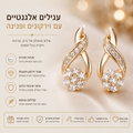 עגילי זירקון עגולים לנשים בגוון זהב בעיצוב פרח שלג אלגנטי